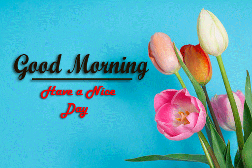 flower Good Morning Images pictures hd download