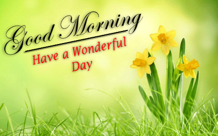 latest Good Morning Images photo free download