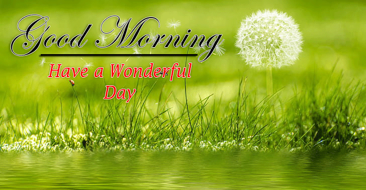 latest Good Morning Images photo hd download