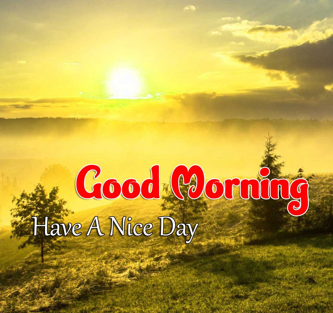 Beautiful Good Morning Download Images 2