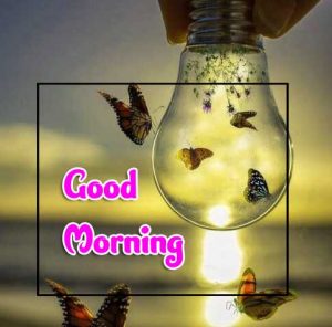 Beautiful Good Morning Images Download 3