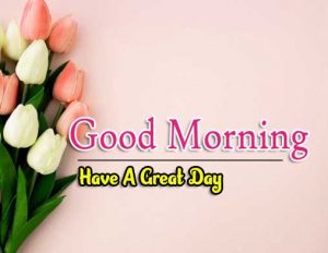 Beautiful Good Morning Pictures Wallpaper 5