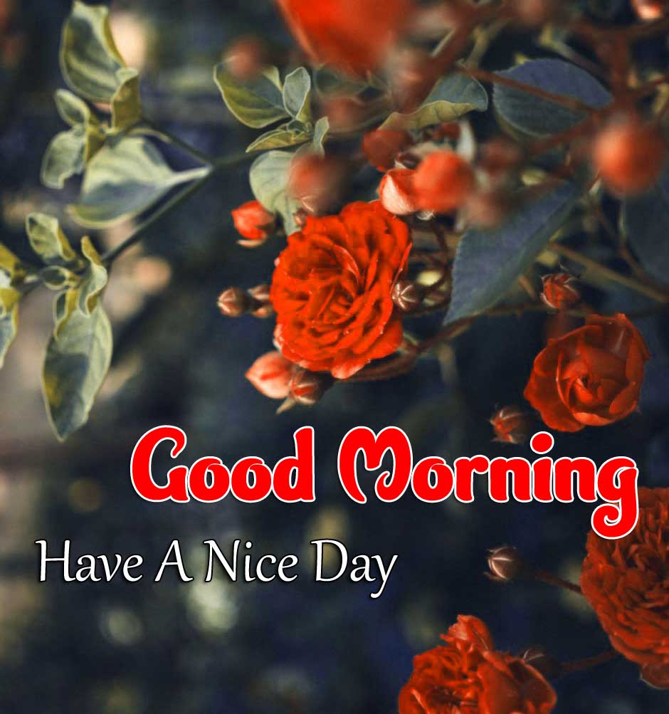 Beautiful Good Morning Wallpaper Pictures 3