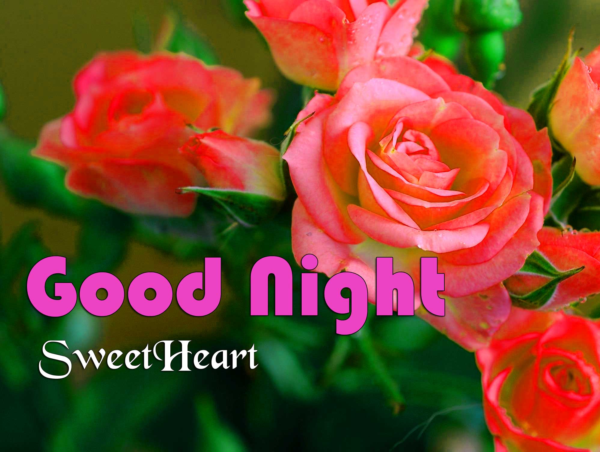 Beautiful Good Night Pictures Hd