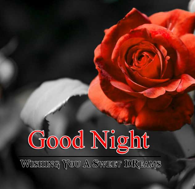 Beautiful Good Night Pictures Images 1
