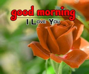 Best Good Morning Hd FRee Download