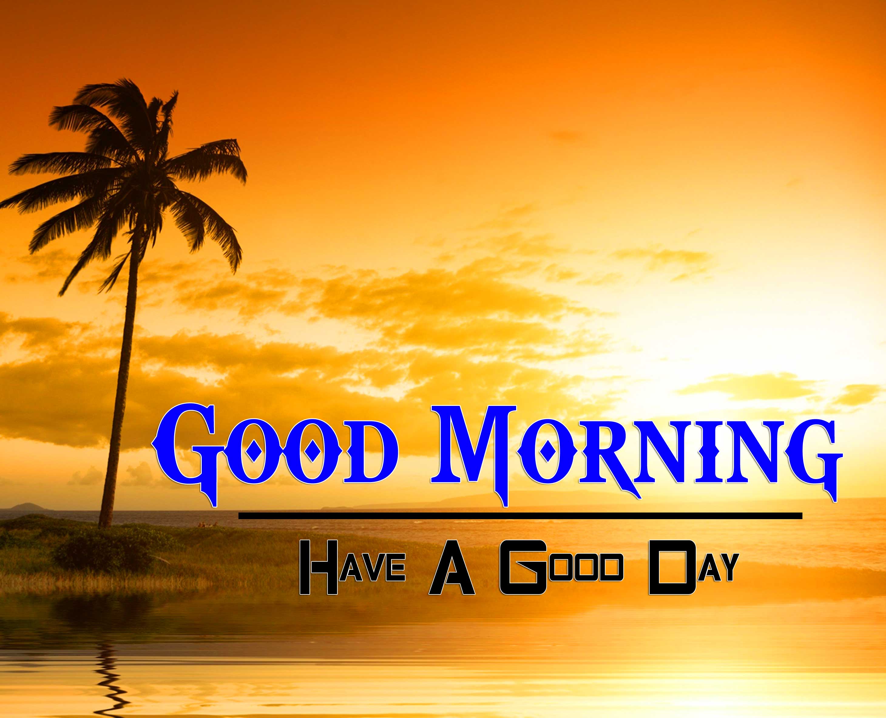 Best Good Morning Images Hd 1