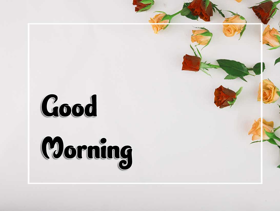 Best Good Morning Images Photo Hd
