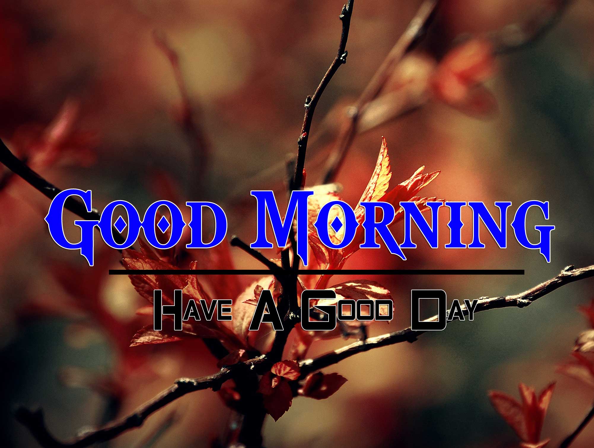 Best Good Morning Pictures Download 1