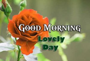 HD Good Morning Pictures Images 1