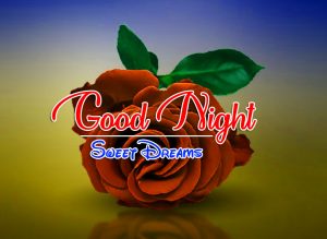 Latest Beautiful 4k Good Night Images With Red Rose