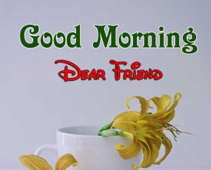 Latest Good Morning Download HD Free