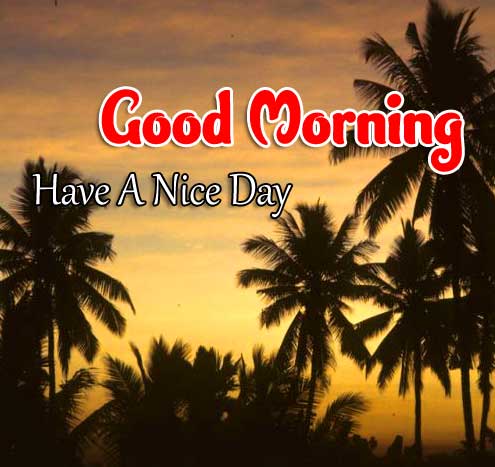 Latest Good Morning Images Hd 4
