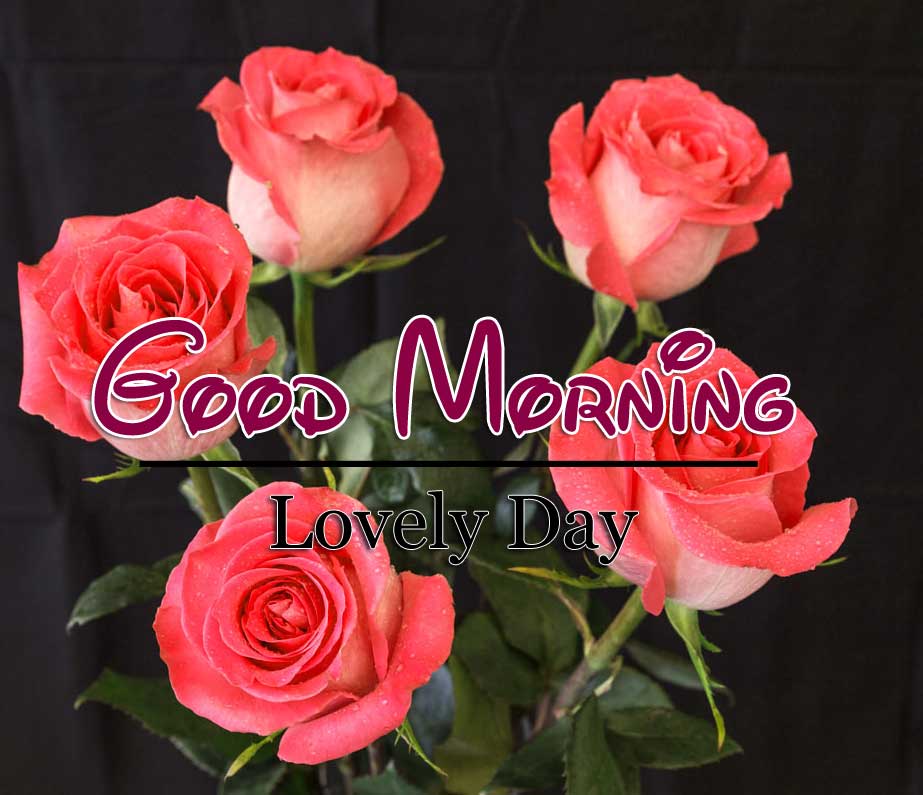 Latest Good Morning Photo Download 3
