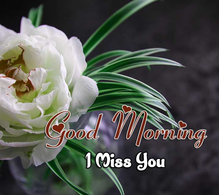Latest Good Morning Pictures HD Free