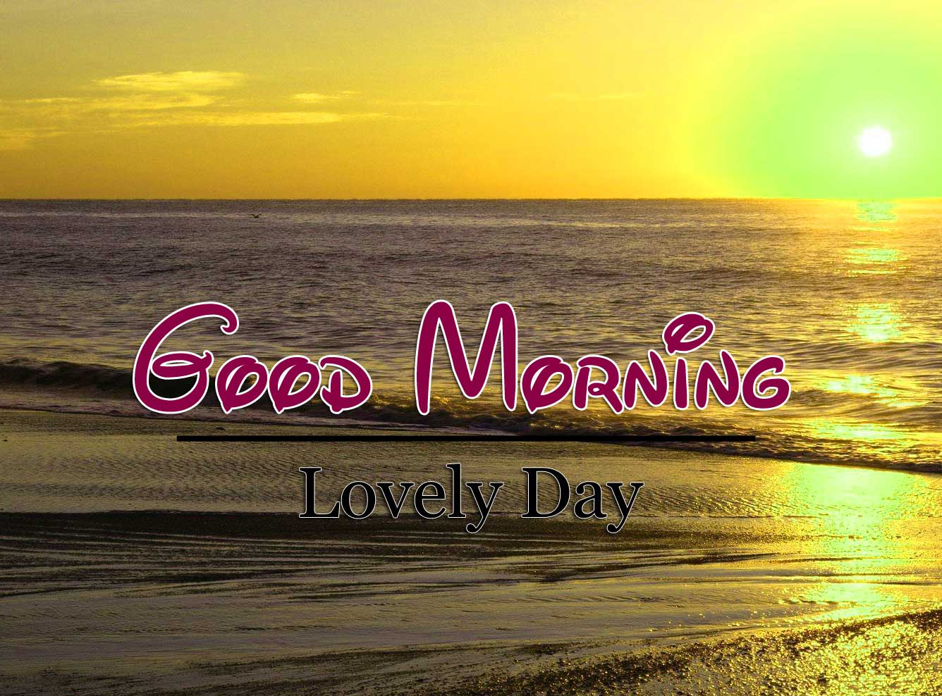 Latest Good Morning Pictures Hd 1