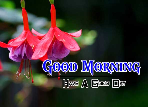 Latest Good Morning Wallpaper Images 2