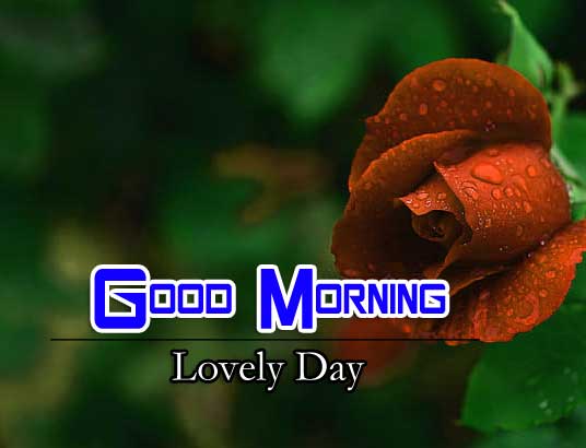 New Good Morning Images Download 1