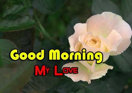New Good Morning Images Download