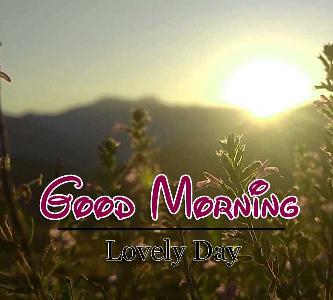 New Good Morning Images Hd