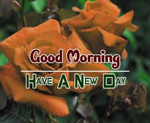 New Good Morning Images Photo HD