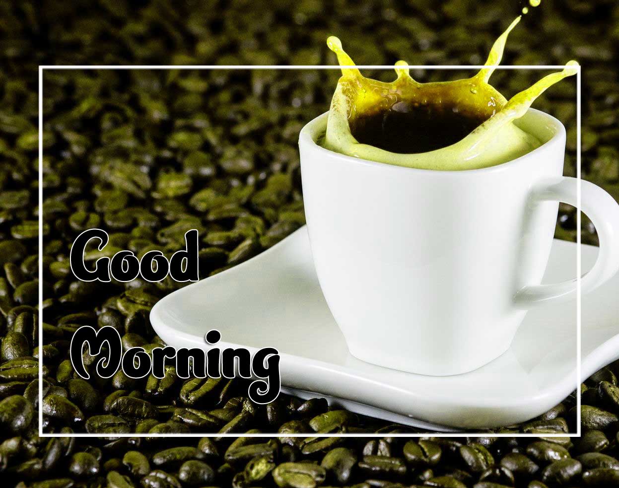 New Good Morning Images photo Hd