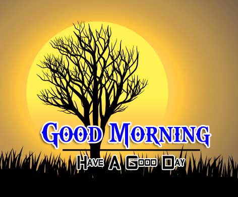 New Good Morning Photo Download