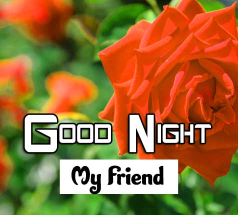 New Good Night Images Download