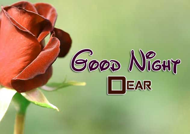 Nice Good Night Imaghes Download
