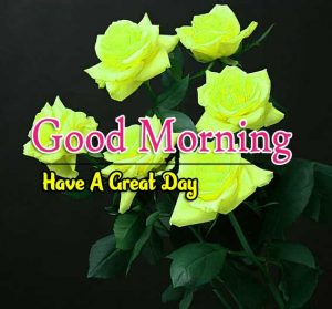 Top Good Morning Images Downloads
