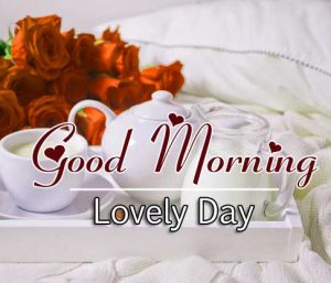 Beautiful Good Morning Images Download 1
