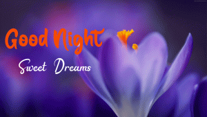 Beautiful New Good Night Images photo download