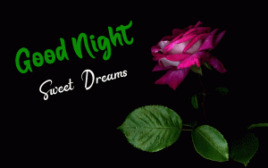 Beautiful New Good Night Images photo free download