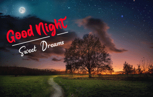 Beautiful New Good Night Images pics photo pictures free hd