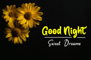 Beautiful New Good Night Images pictures pics downoad