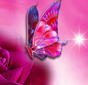 Butterfly Very nice whatsapp dp Images