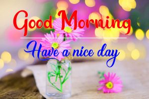 125+ Good Morning All Images Download