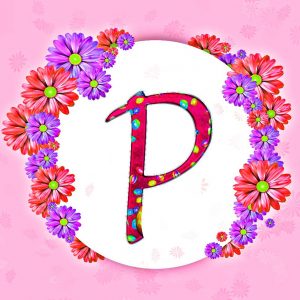 Free Top p letter dp for whatsapp Iages