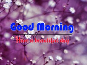 Full HD Good Morning Images Photo Download