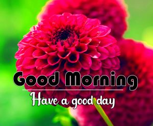 Good Morning Wallpaper Pics Pictures Download