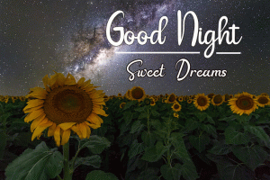 Good Night Images photo free download