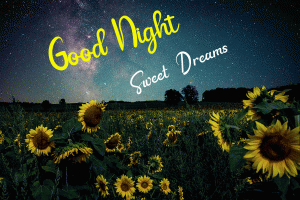 Good Night Images pictures photo download