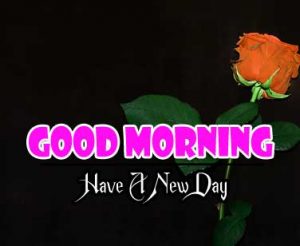 Latest Good Morning Images Hd Free 1