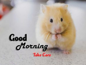 Latest Good Morning Images Wallpaper 5