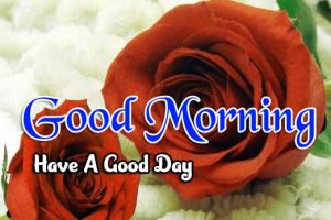 855+ { hd } Good Morning Images Wallpaper Photo download