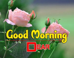 New Good Morning Images Download 6