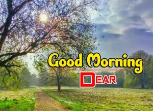 New Good Morning Images Hd