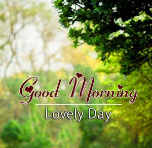 New Good Morning Images Hd Free 1