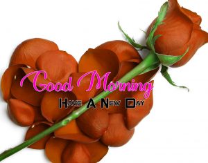 New Good Morning Images Hd Free