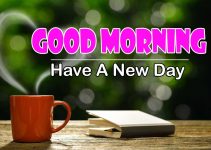 689+ New Good Morning Images Wallpaper Photo 2023